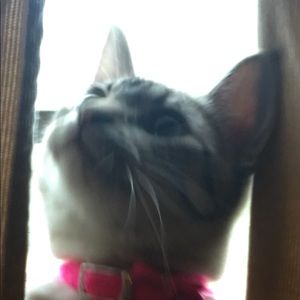 Meet your Posher, Will